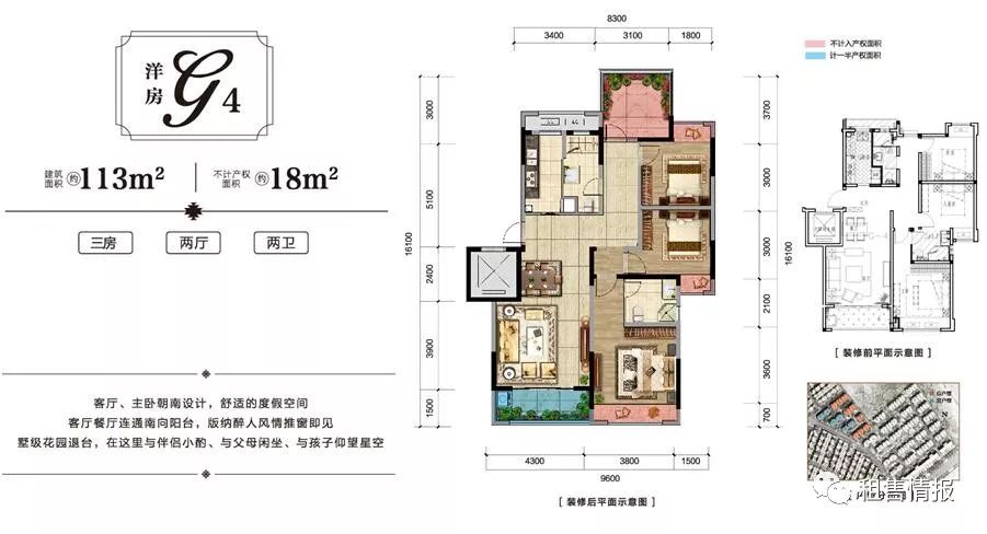 普洱茶分布在西双版纳,为什么西双版纳茶叶要叫普洱茶