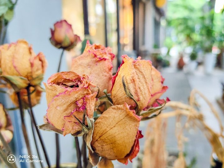 vivonex3带你体验5g速度,vivonex3参数配置详细