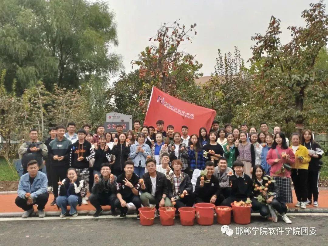 aseo学校招生简章,邯郸学院软件技术