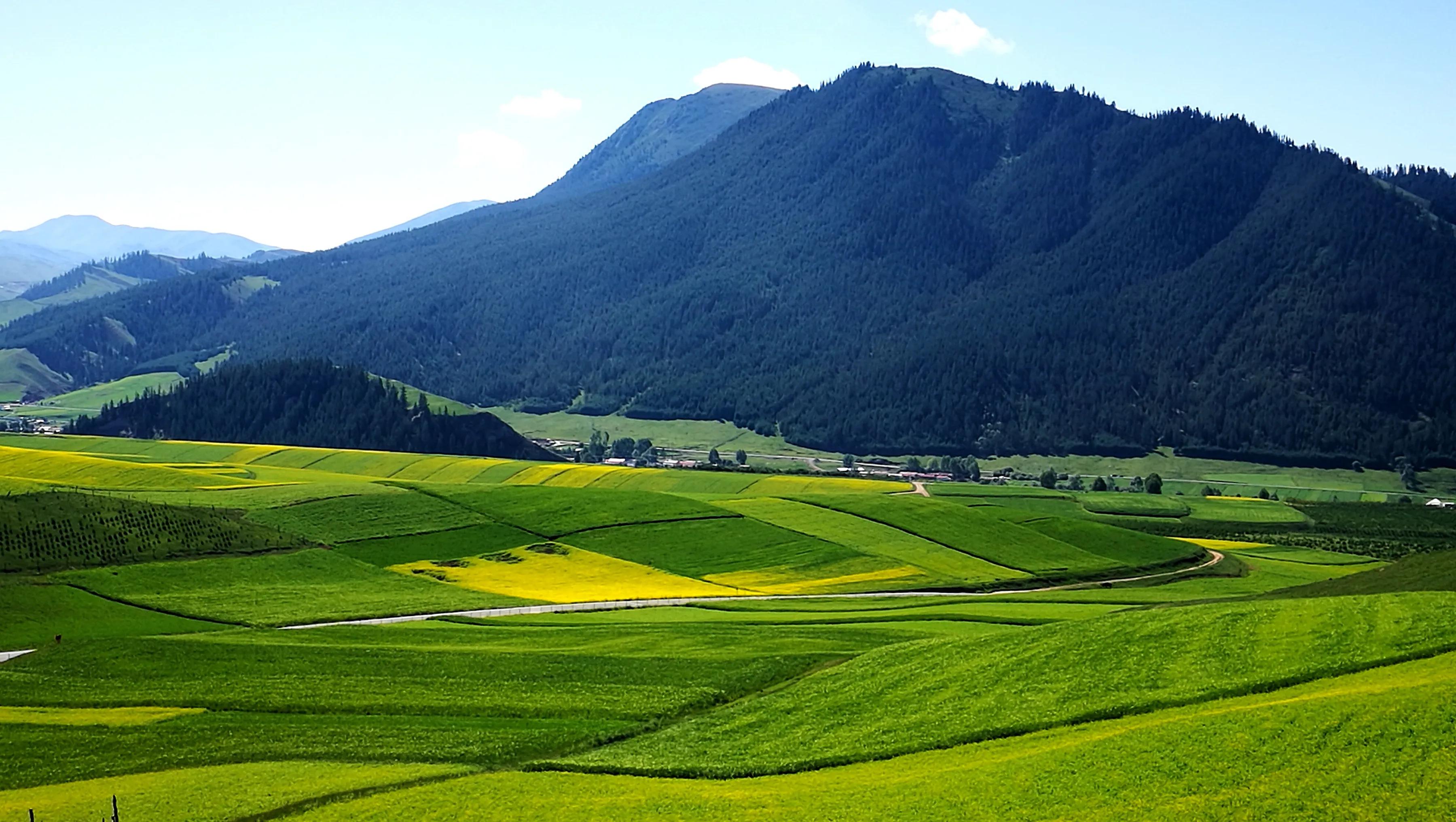 手机摄影作品集大全集,手摄世界