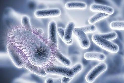 后疫情时代怎么增强免疫力,防疫情用什么精油