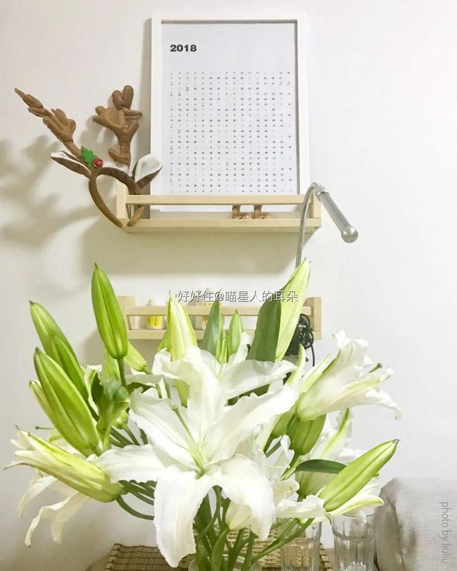 宜家衣柜书柜好物推荐排行榜,宜家特价好物推荐