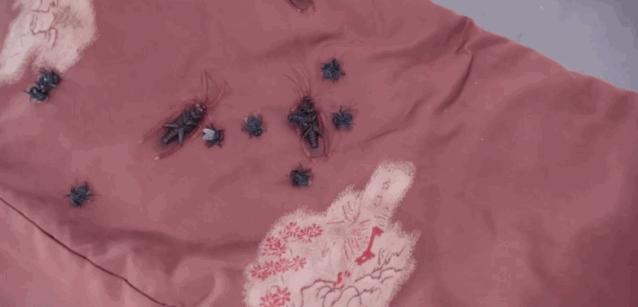 日本元旦抢福袋,在日本抢福袋