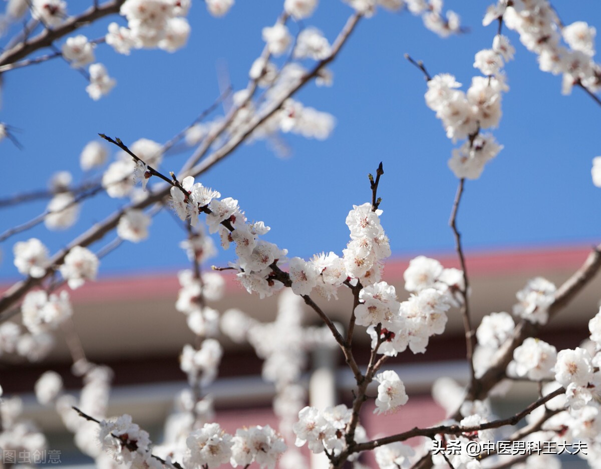 湿热下注遗精与肾虚遗精有何区别,三才封髓丹能治疗肾虚湿热下注吗