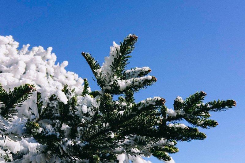 thenorthface登山徒步鞋,thenorthface防水鞋视频