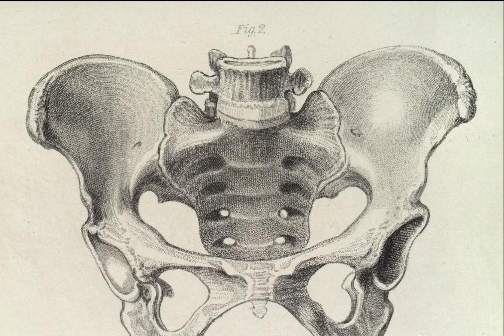 骨盆歪造成的脸歪能恢复吗,骨盆为什么会前倾最快纠正法