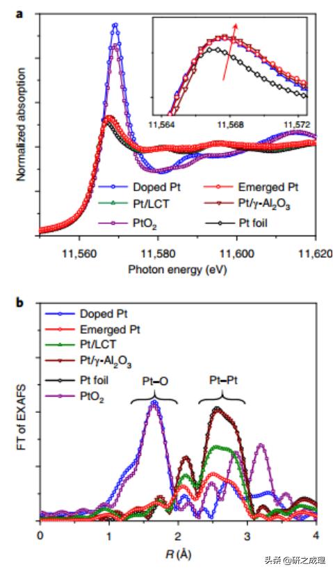 最新NatureChemistry：保护Pt活性