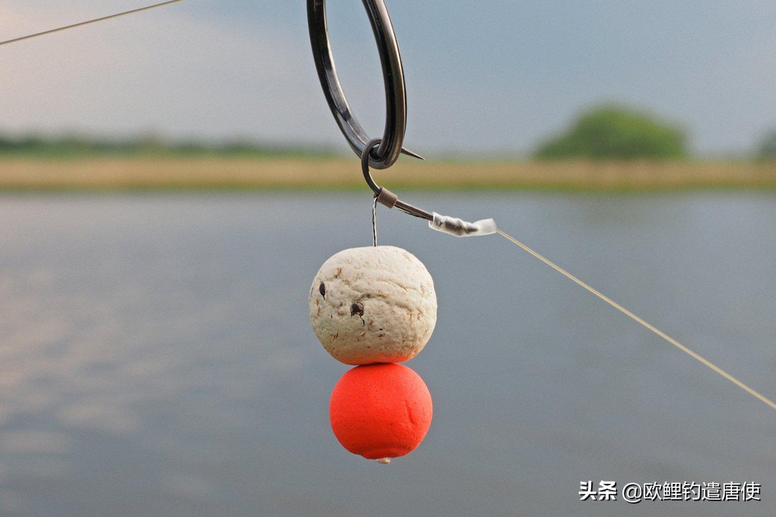 话说欧鲤钓之科学篇,欧鲤钓知识讲解