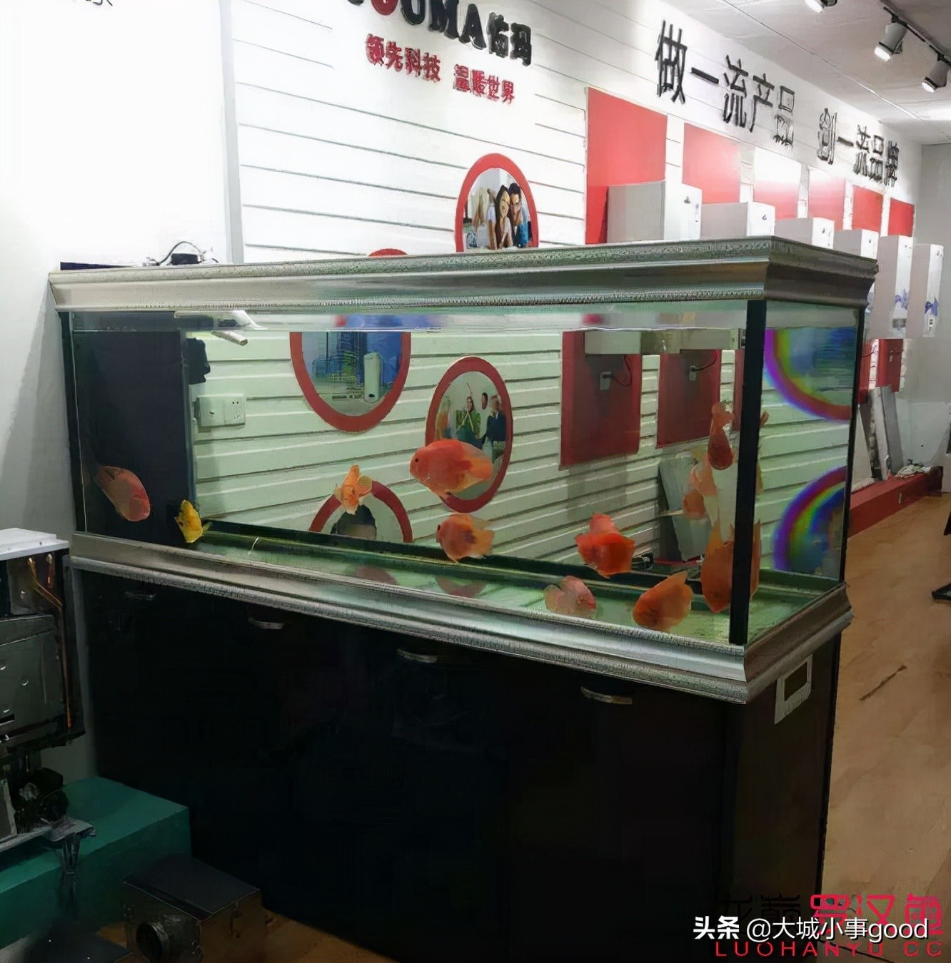 过滤棉讲解,物理过滤滤棉选择