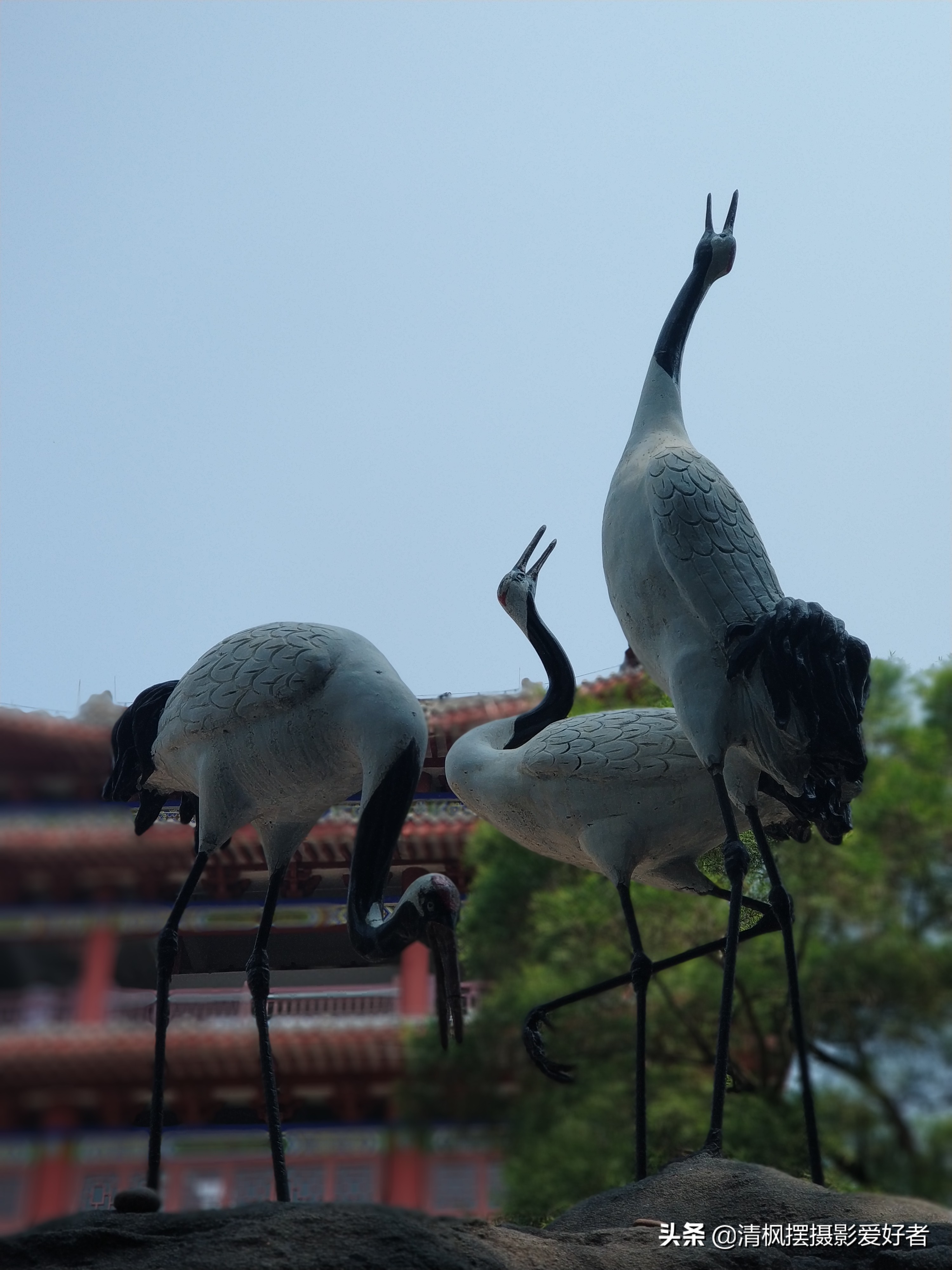 如何正确使用手机壁纸,手机壁纸怎么拍才好看