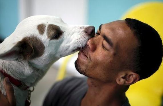 狗子总是舔主人代表什么,狗狗知道主人亲它的含义吗