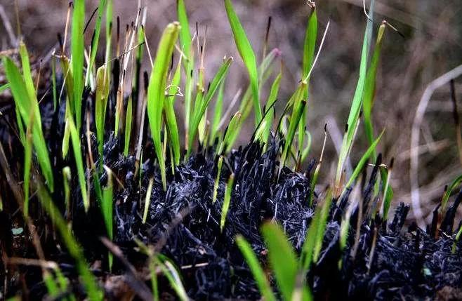 皮肤科医生告诉你，如何让痘痘不再复发