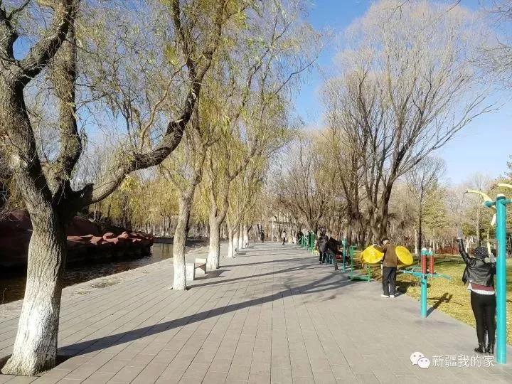 南公园，一代乌鲁木齐人的青春与回忆！