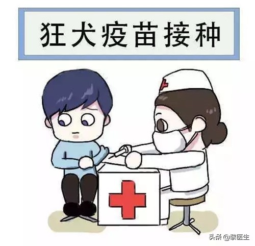 3岁孩子被狗狗咬伤该怎样办,狗咬伤小孩该怎样赔偿