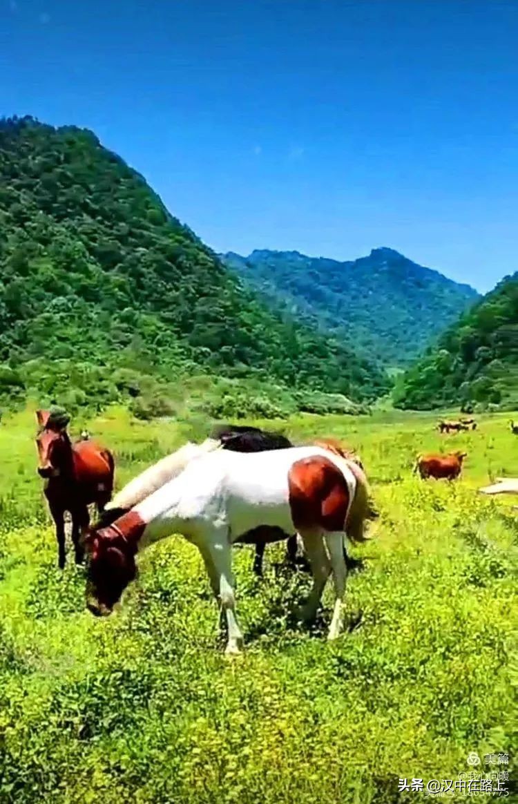 汉中圈子崖天坑,汉中镇巴圈子崖天坑旅游攻略