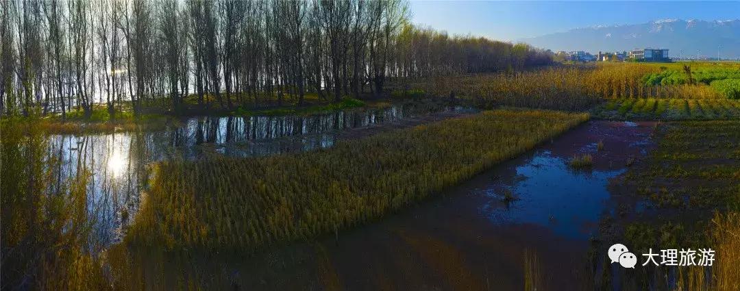 大理洱海两日游攻略,大理洱海一日游最佳攻略图