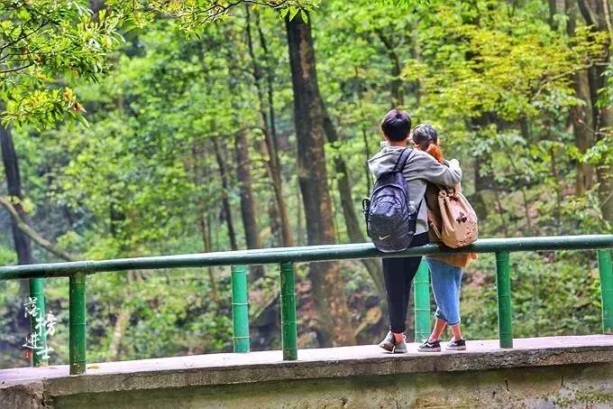 去张家界自助游攻略,张家界免门票自助游攻略图片真实