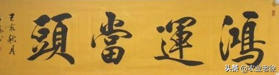 经销商怎么做自己的品牌,经销商要做大品牌还是小品牌