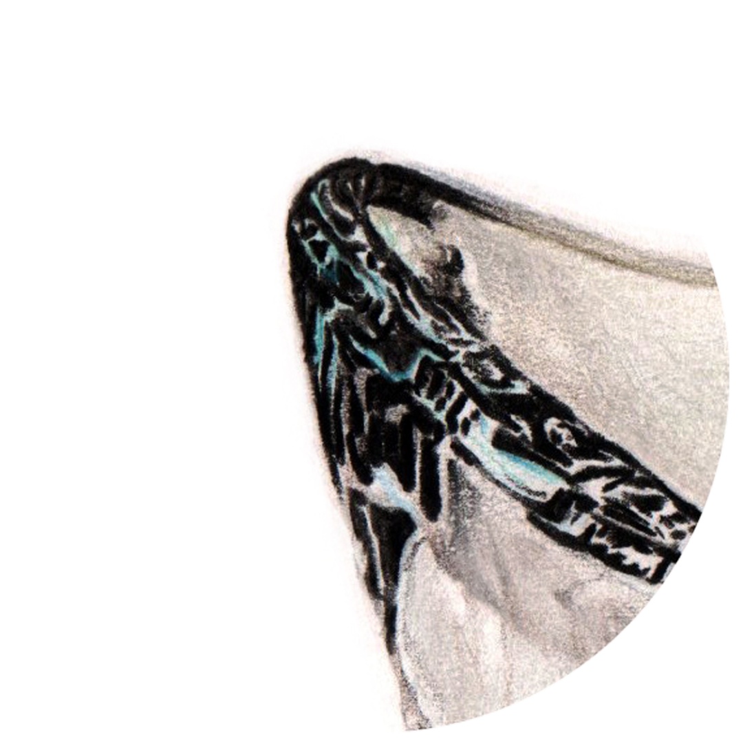 彩铅玻璃质感,彩铅物体背光面上色技法规律讲解