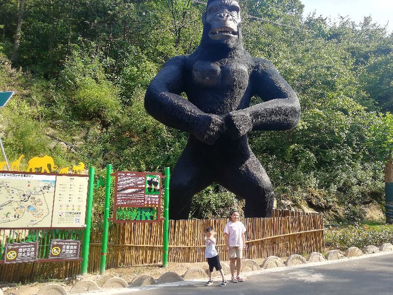 洛阳栾川竹海野生动物园值得去吗,洛阳栾川竹海野生动物园都有什么