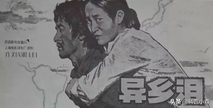 为啥巴西占了南美洲那么大的领土,巴西哪里的移民多