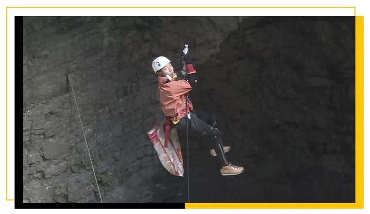 村花撒贝宁:我,43岁,*戏调**马云,芳心纵火犯