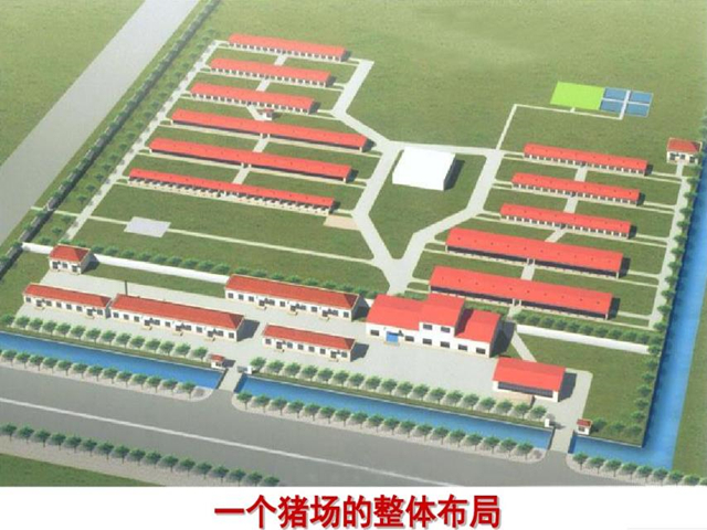 新建养猪场在什么地方,新建猪场怎么规划区域
