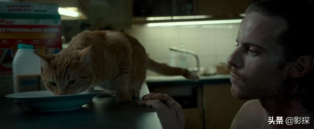 绁ㄦ埧榛戦┈鐩樼偣,绁ㄦ埧榛戦┈鍗囩骇鍥炲綊