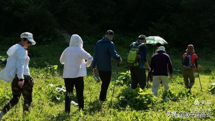汉中圈子崖天坑,汉中镇巴圈子崖天坑旅游攻略