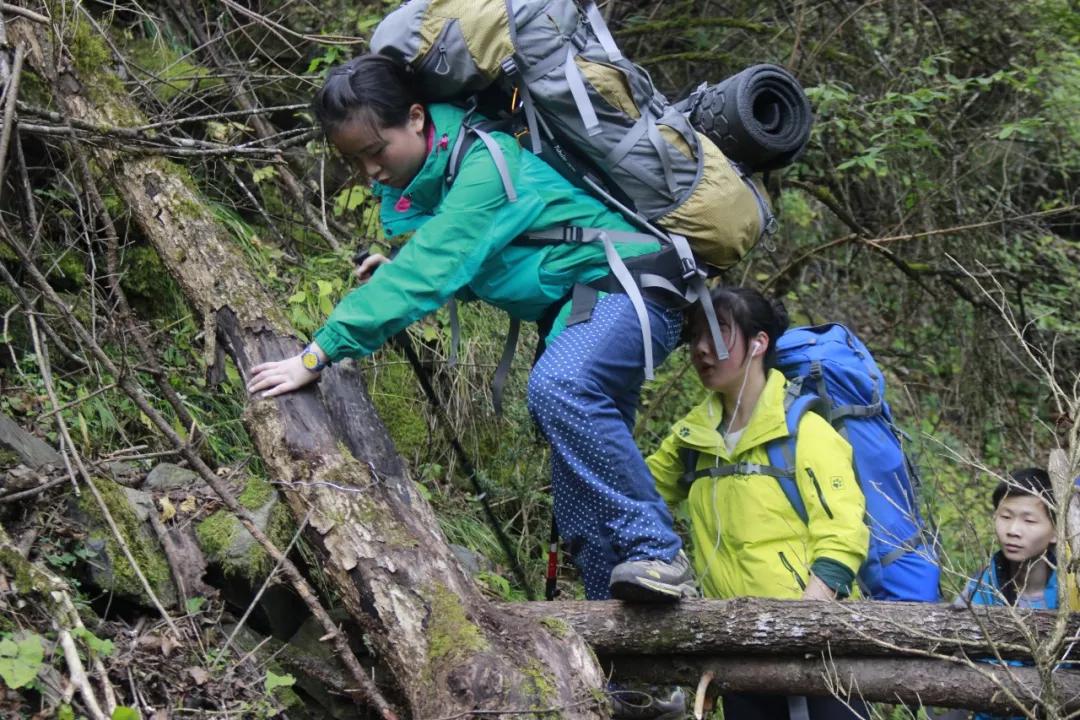 牛津国际公学成都分校多少钱一年,牛津国际公学招生简章