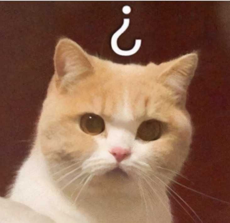 看着精明怎样才能看着傻,看着挺精明一个人总干傻事