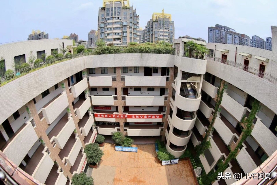 花样年华的你,花样年华的你的图片