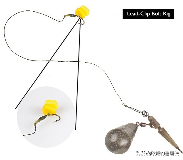 钓鱼也是一种技术,科学钓鱼的基本原理