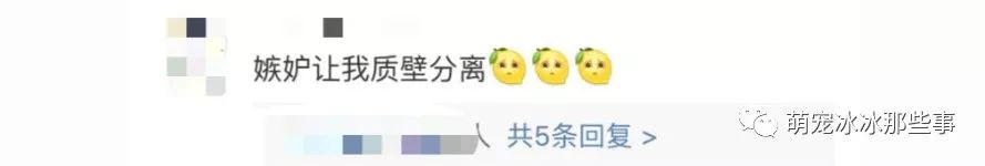 最壕狗窝!主人花3万5为爱宠造了个别墅,泳池和阳光房全都有