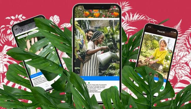 亚马逊电商最新分析报告,亚马逊消费者行为特征是什么