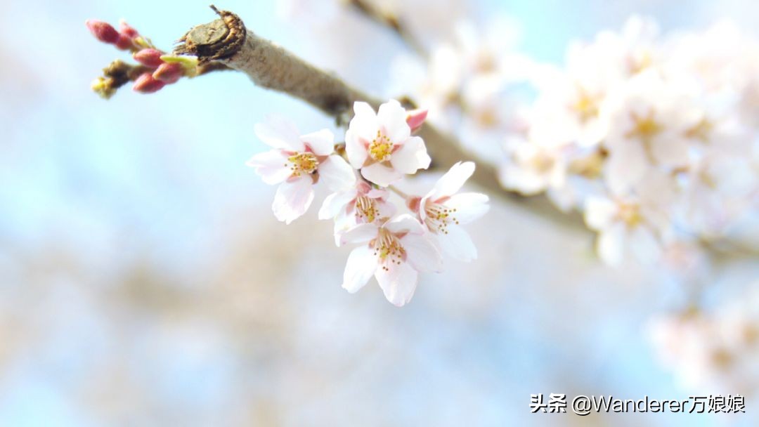 初中语文教师资格证面试如何备考,零基础初中教师资格证备考要多久
