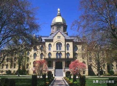 清北高材生为啥留不住,清北高材生最新消息