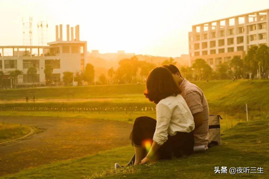 「夜听」人如玫瑰,身上要长些刺