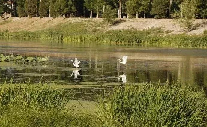 水利部河湖整治,推行河长制实现河畅水清岸绿景美