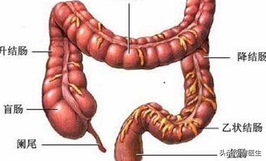 安倍晋三溃疡性结肠炎复发辞职,安倍晋三患溃疡性结肠炎多少年