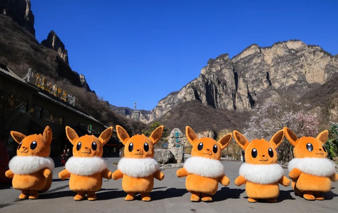 云台山春天视频,云台山气氛