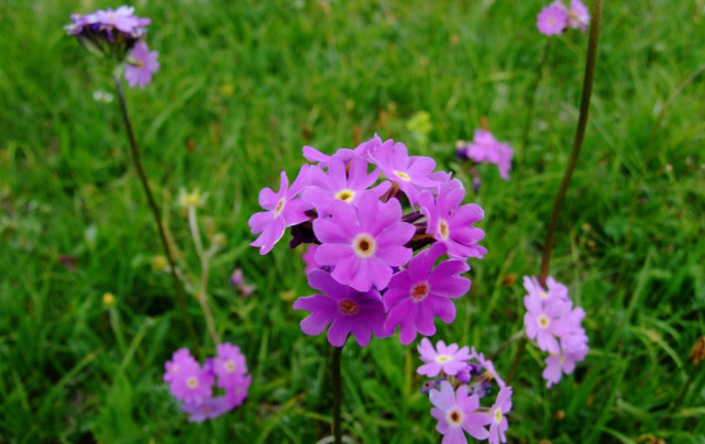 十二星座心情不好怎么宣泄,十二星座情绪低落时