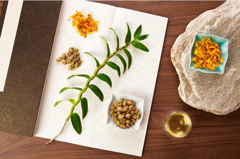 夏季生津止渴养生汤健脾祛湿,暑热喝什么解暑最好