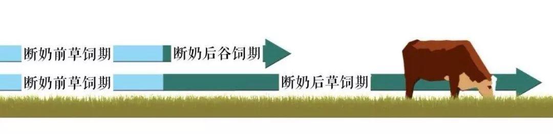 牛排中间的红色血液可以吃吗,牛排的血水能吃吗