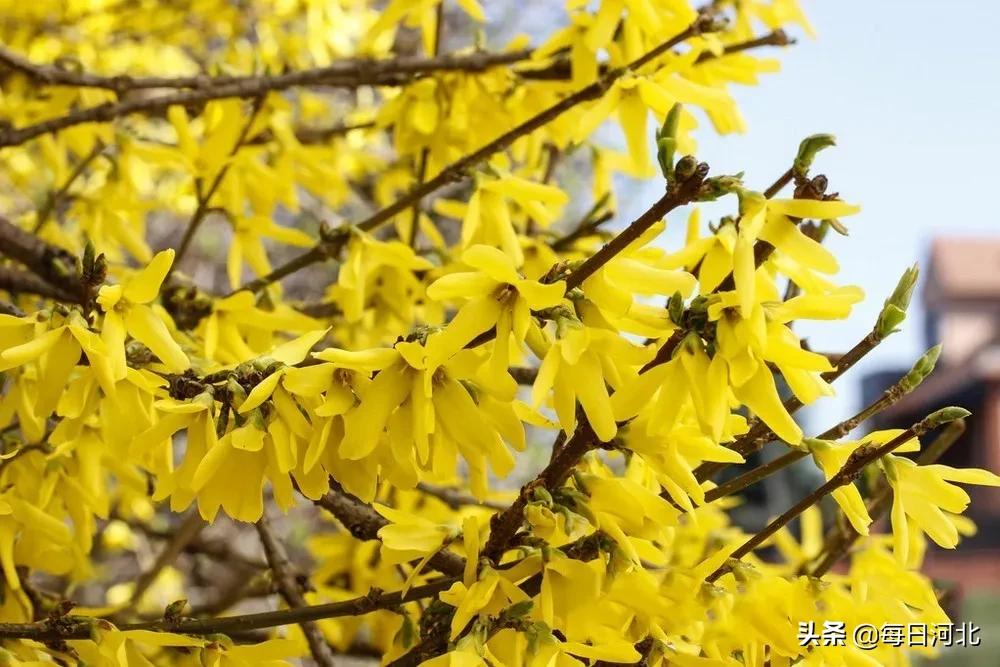 一个温暖又有趣的酒店,选择一个舒适温暖的酒店