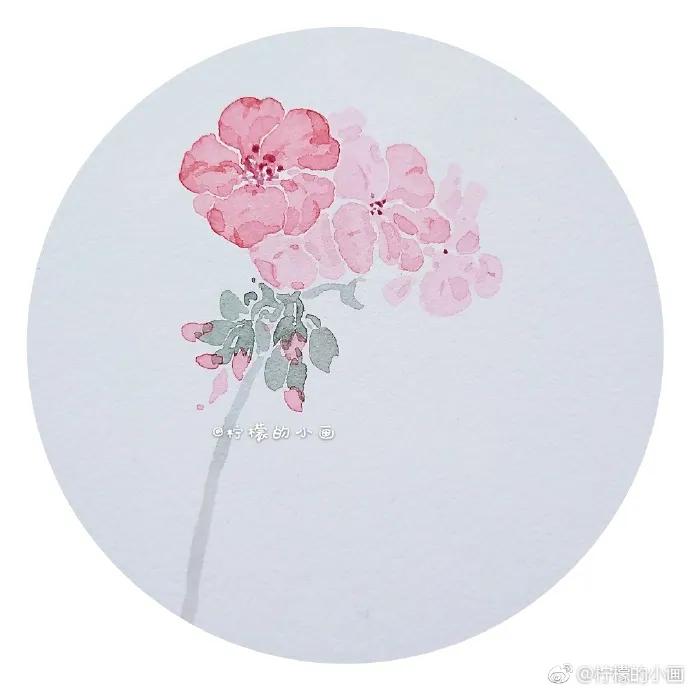 分享一组好看的小清新水彩插画,不来看看简单水彩小插画的教程吗