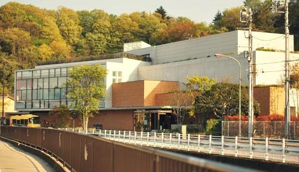 国家博物馆研学一日游,博物馆研学旅行的意义及感悟