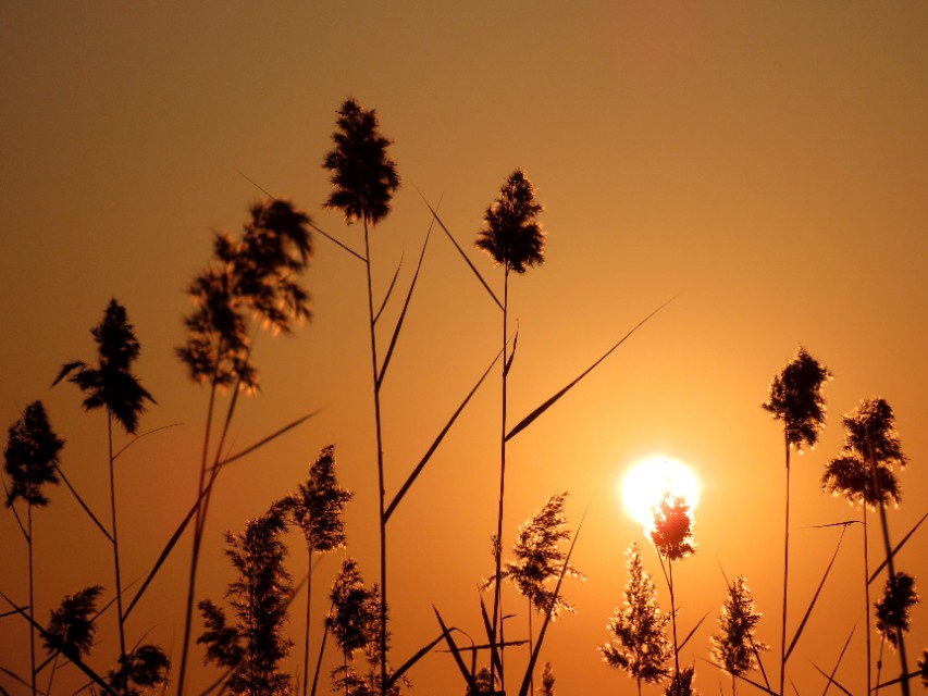 最美古文短篇100篇,一生必背10篇著名古文小学生