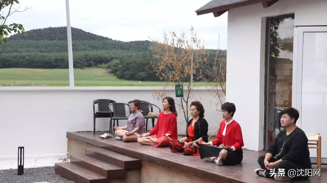 沈阳附近民宿小院,沈阳农村民宿独门独院价格