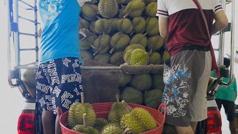 泰国榴莲咖啡奶茶,泰国皇家榴莲咖啡